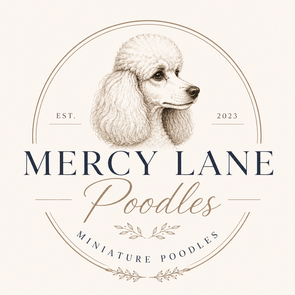 Mercy Lane Poodles