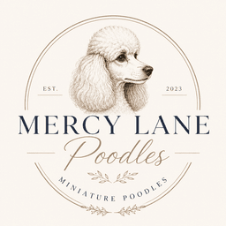 Mercy Lane Poodles